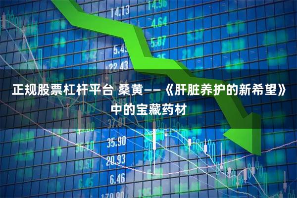 正规股票杠杆平台 桑黄——《肝脏养护的新希望》中的宝藏药材