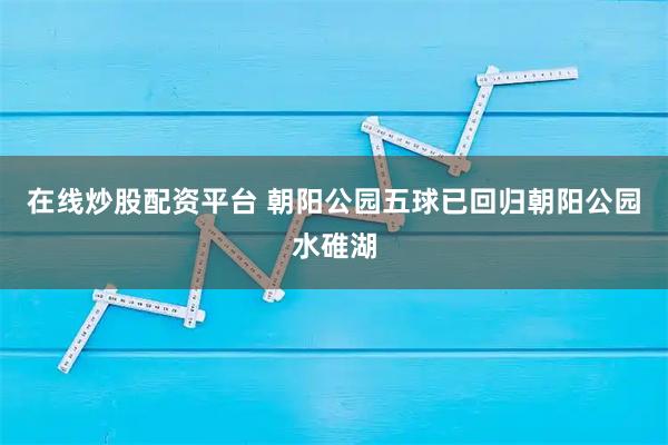 在线炒股配资平台 朝阳公园五球已回归朝阳公园水碓湖